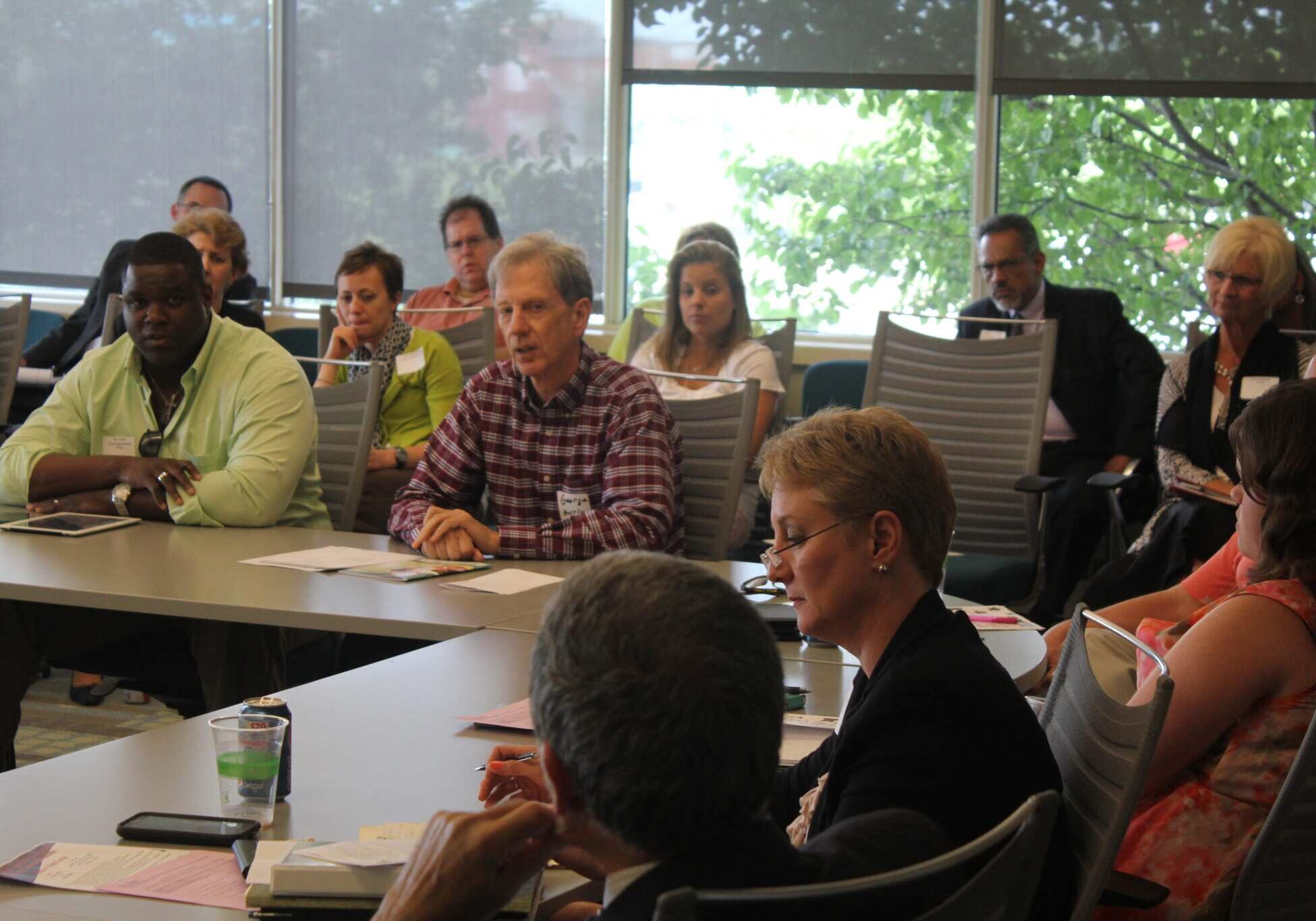 A consultant has recommended improvements to the Regional Health Care Initiative, which includes a number of committees, including the one on mental health shown above. (File photo)