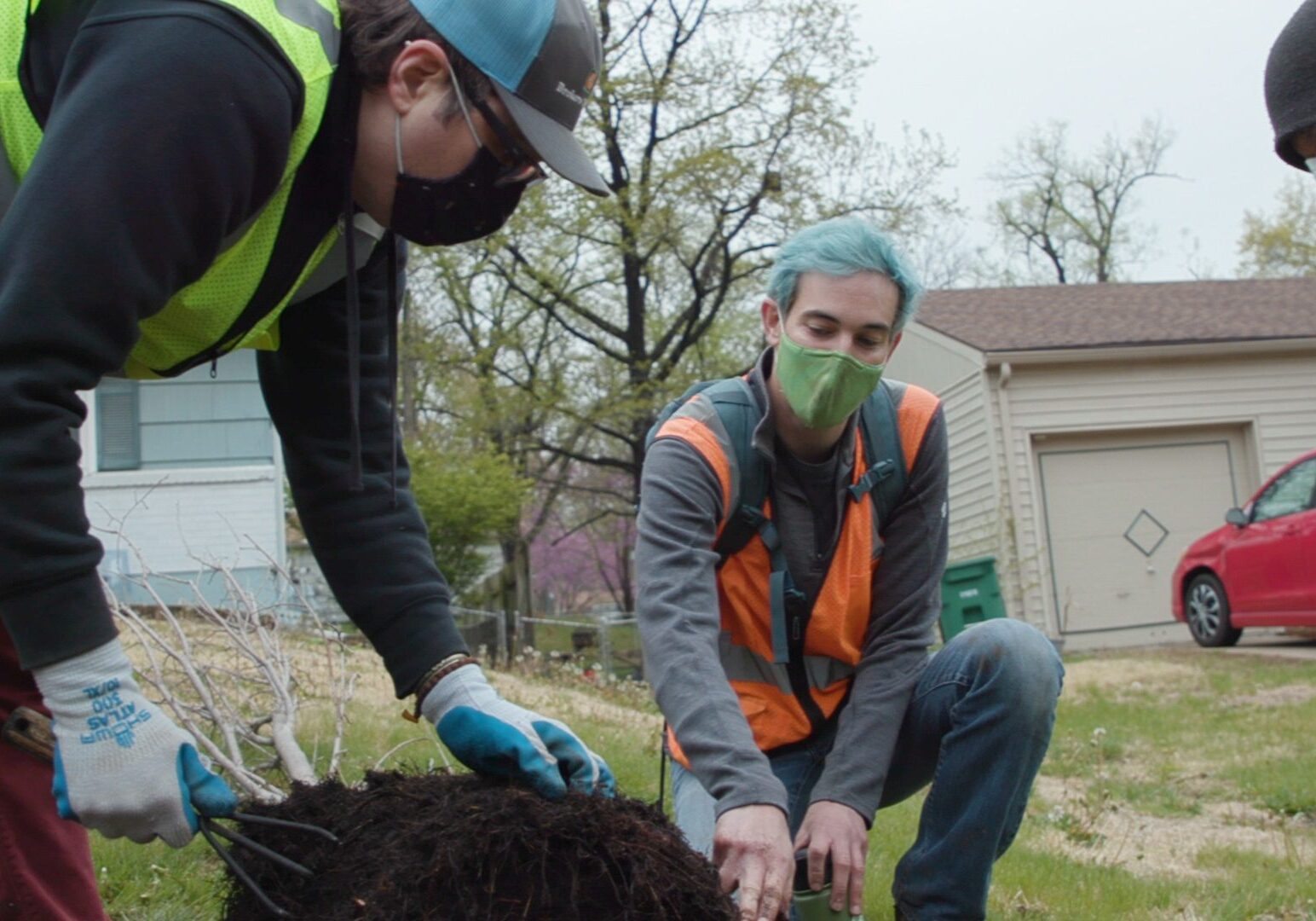 Heartland Tree Alliance workers prepare to plant an American elm tree in the Fairlane neighborhood of Kansas City.