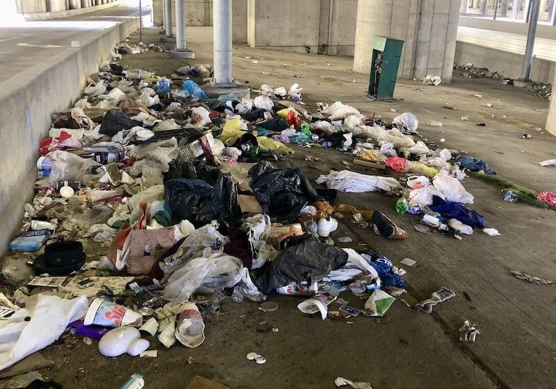 South Loop trash
