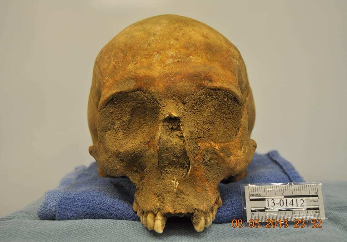 Skull