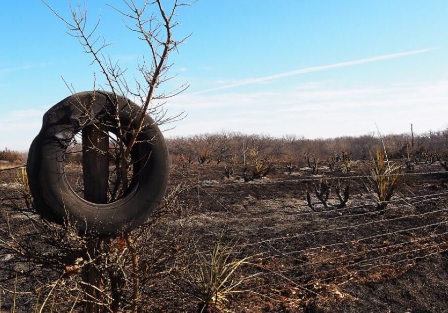 A partially melted tire hangs on a tree near Paradise, Kansas. The surrounding land was scorched by a wildfire in December 2021.