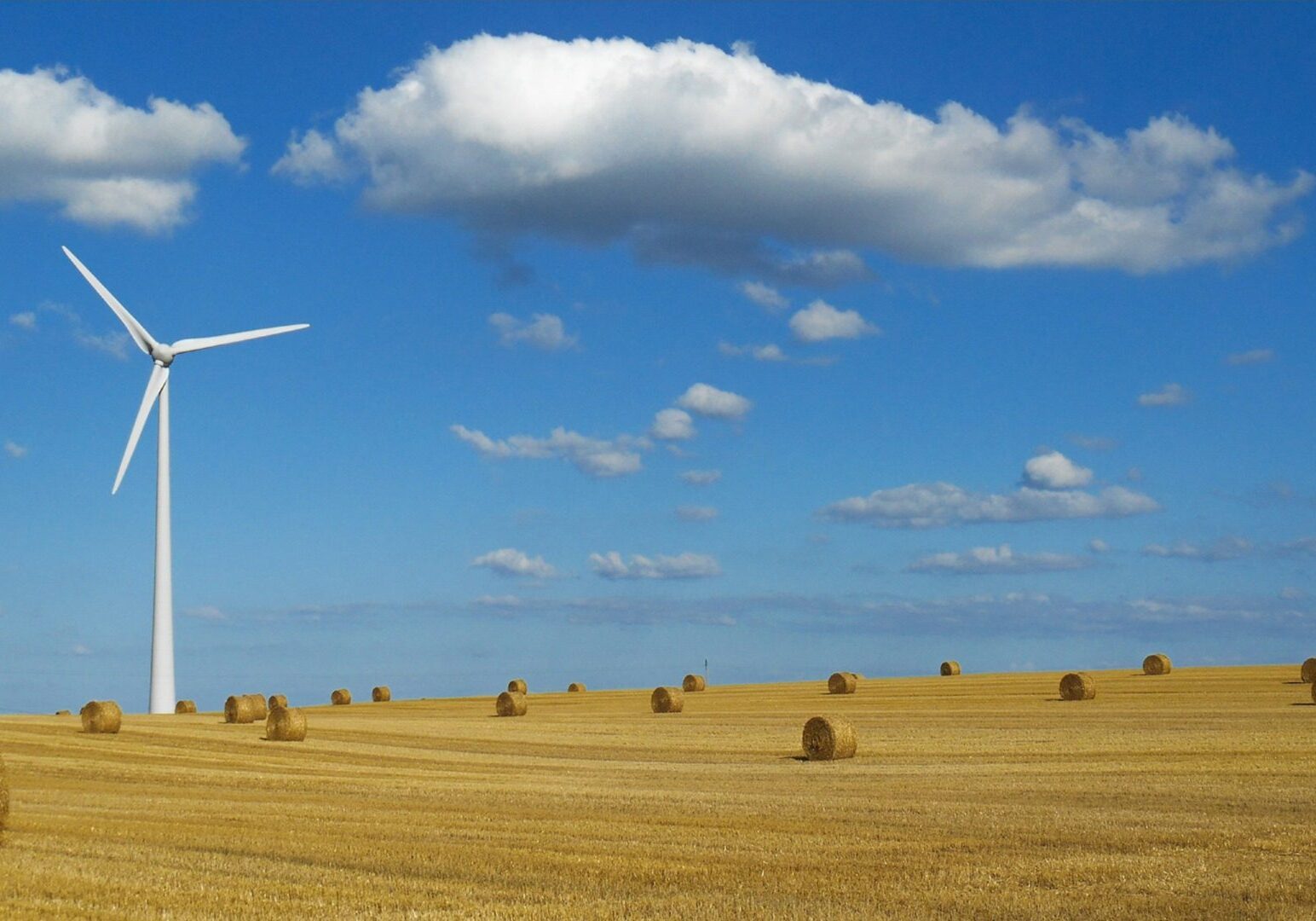 wind turbine