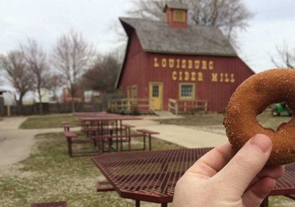 Cider donuts