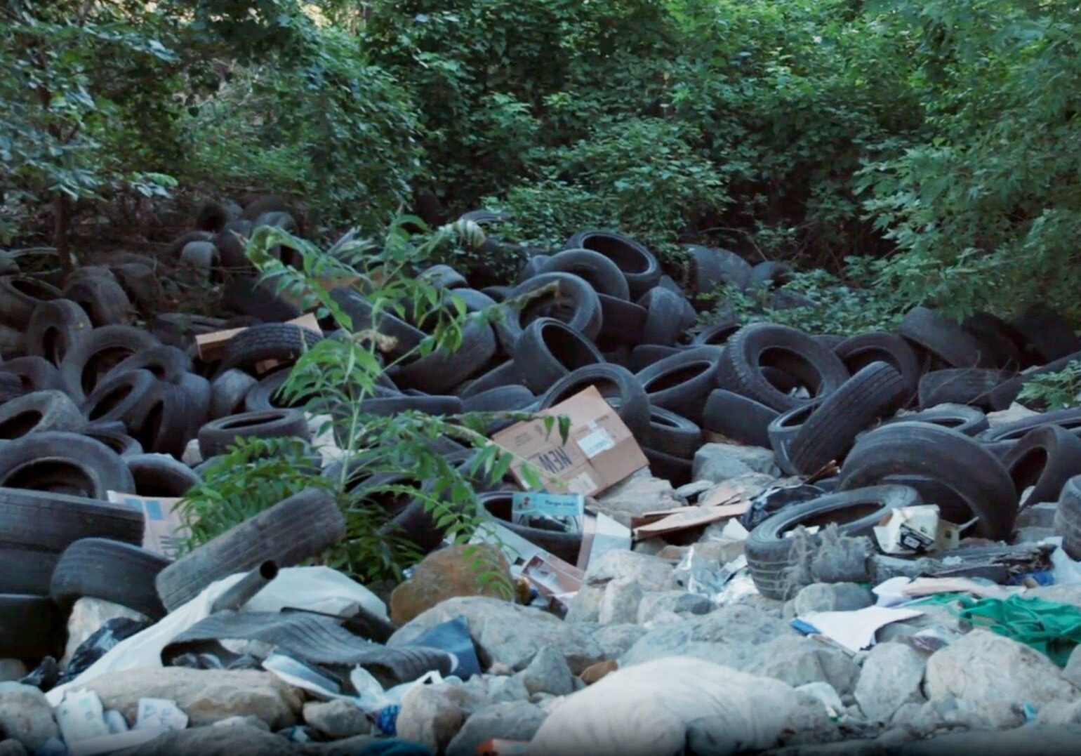 Illegally dumped tires are one of the most persistent problems along Kansas City's Blue River. (Abigail Landwehr | Flatland)