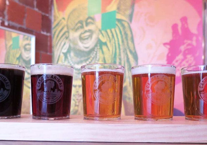 Casual Animal has a couple new options for its flights