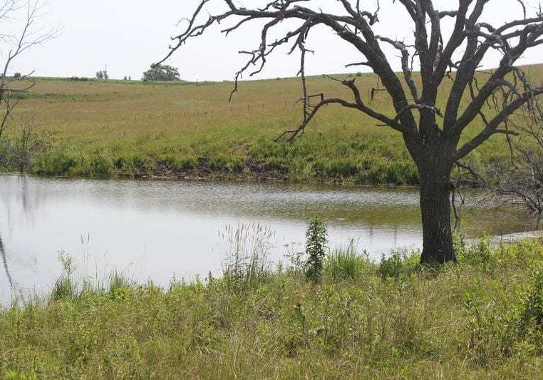 The EPA wants to clarify what waterways it has authority over. Some say that could increase its reach on agricultural land. Photo by Amy Mayer