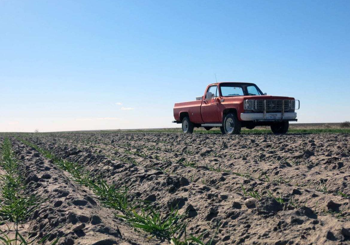 A field.