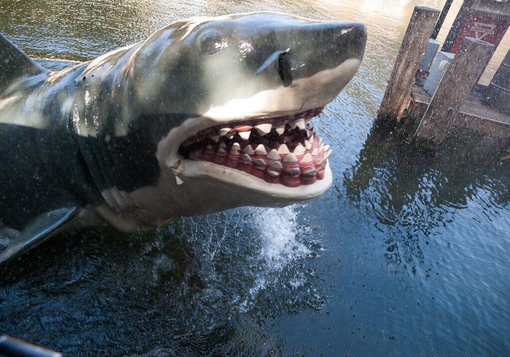 Friday marks the 50 years since the release of "Jaws," the film that made moviegoers terrified to enter the water. Johnson County Park & Rec is showing the film Saturday night at Shawnee Mission Park. (Flikr)