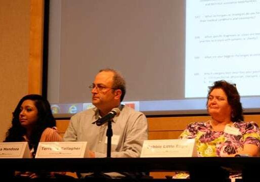 panelweb