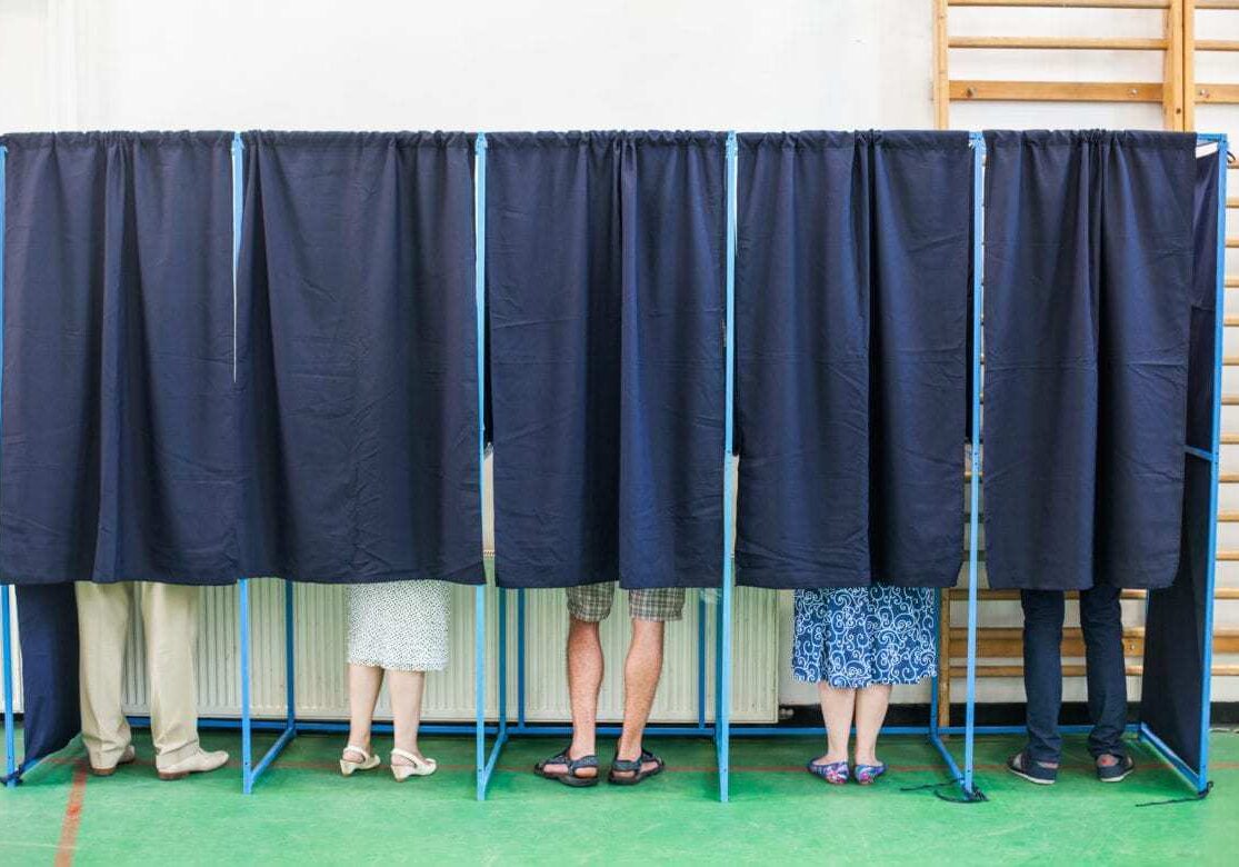 Photo of voters in voting booths.